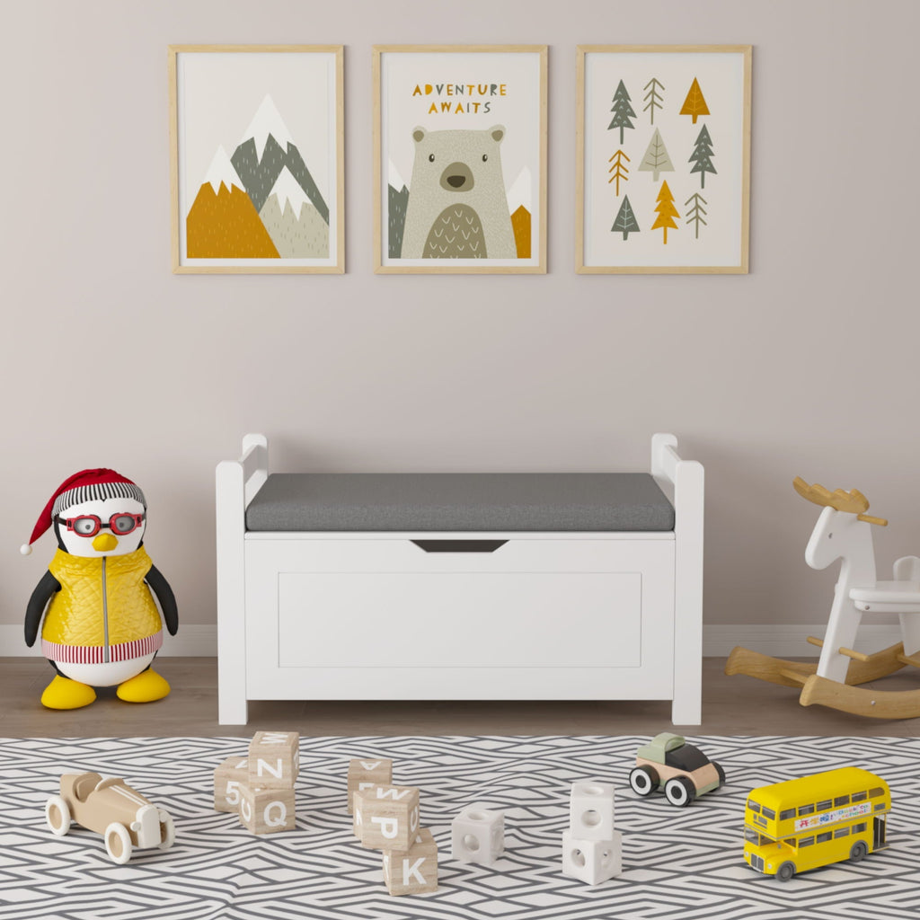 Childs Toy Box or Blanket Chest with Cushion Seat Bench