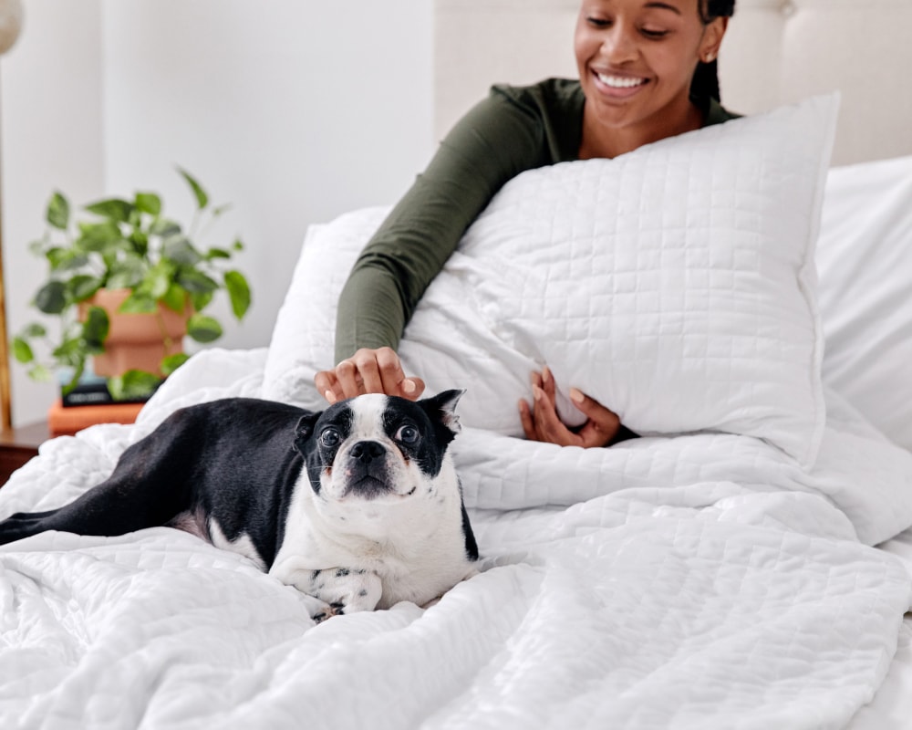 Original Weighted Blanket by Gravity