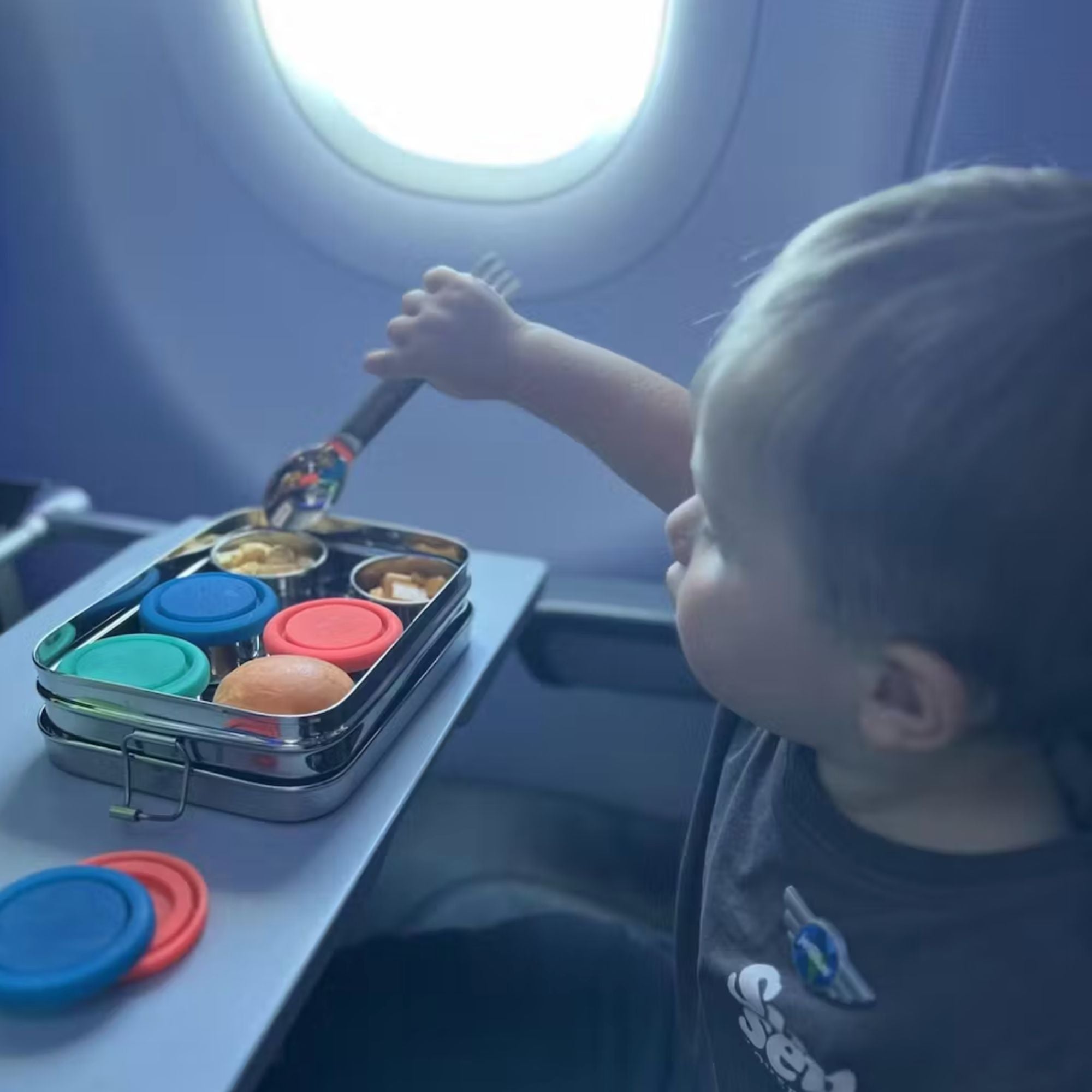 Stainless Steel Bento Snack Box