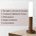 LED USB Wood Wireless Light with Motion Sensor by Vivalo