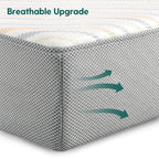 Cloud 4 Crib & Toddler Mattress with Soybean Cover by Babelio